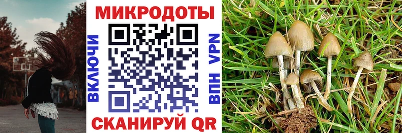 Галлюциногенные грибы Psilocybe мега ССЫЛКА Безенчук где купить наркотик